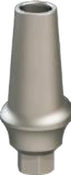 Concave anatomic straight abutment