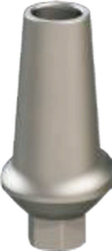 Anatomic straight abutment