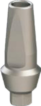 Straight abutment with shoulder